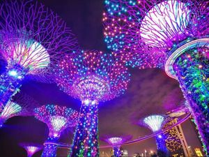 Turkish Airlines Sydney to Singapore Return
