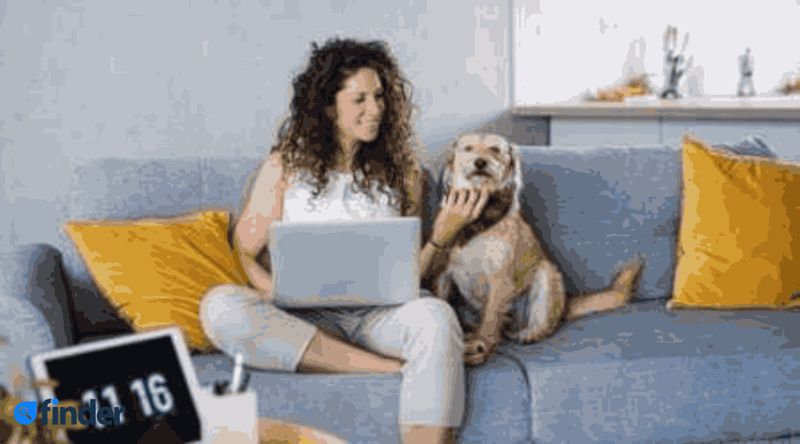 Dodo NBN /month off 6 months + Visa gift card