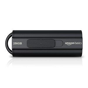 Amazon Basics 256GB USB 3.1 Flash Drive