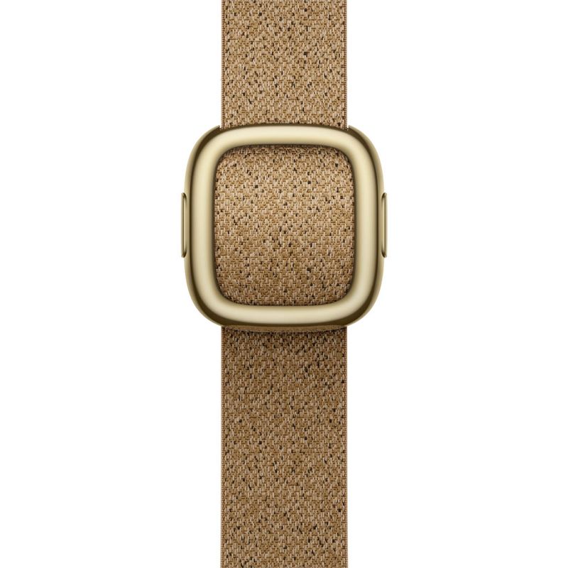 Apple Watch 42mm [Sage] Modern Buckle [Large]