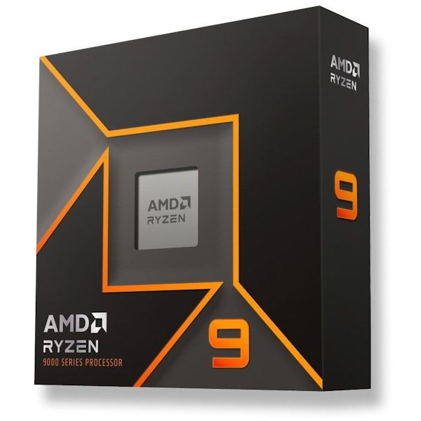 AMD Ryzen 9 9900X