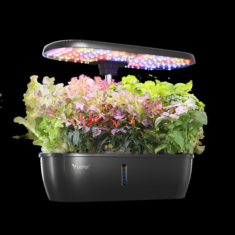 LetPot Lite 12-Pod Smart Indoor Hydroponic Garden System (Black)